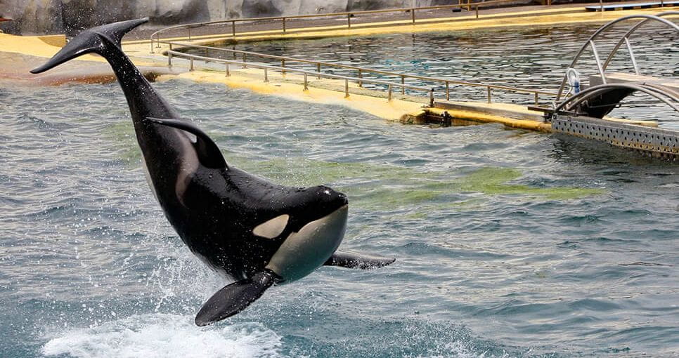 Colombier-region-sports-et-loisirs-bloc3-grande-marineland