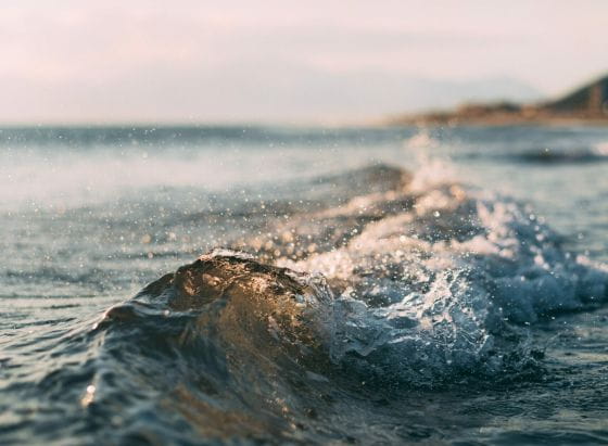 mourad-saadi-GyDktTa0Nmw-unsplash
